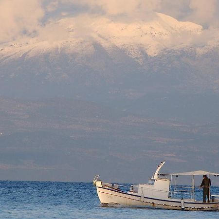 Drakopanagiotaki Rooms Agios Andreas  Ruang foto
