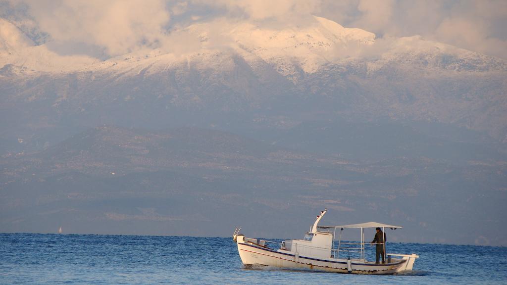 Drakopanagiotaki Rooms Agios Andreas  Ruang foto